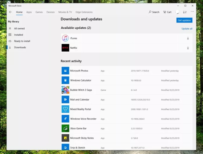 Mastering the Microsoft Store for Windows 10