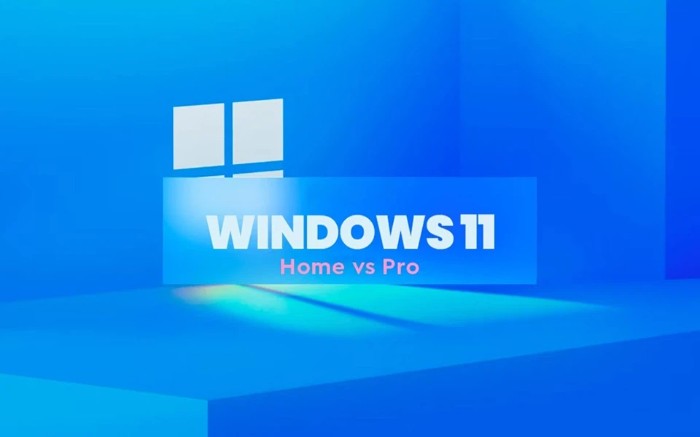 Should you choose Windows 11 Home or Windows 11 Pro 1