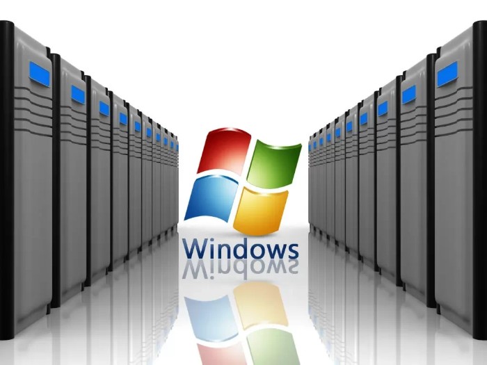 Windows Server Advantages and Functions 1