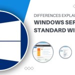 Windows Server vs Standard Windows: Differences Explained