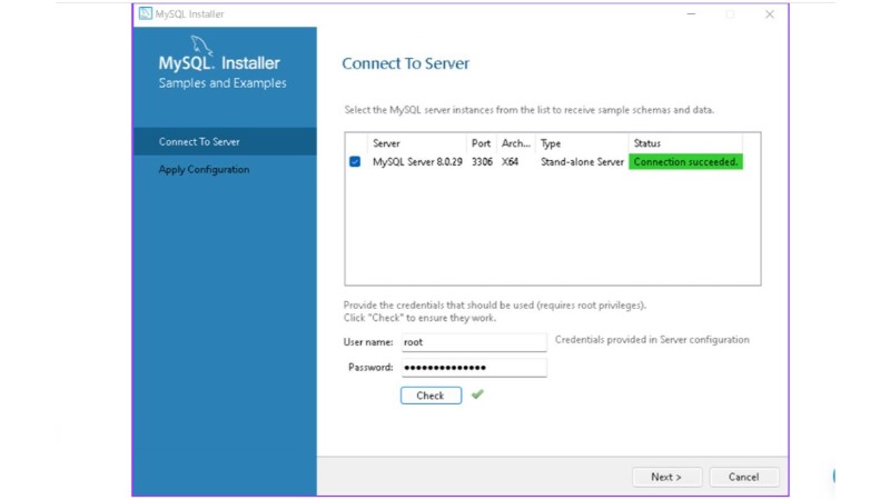 Installing and Configuring MySQL on Windows