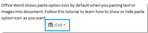 Show or hide paste option icon in Word