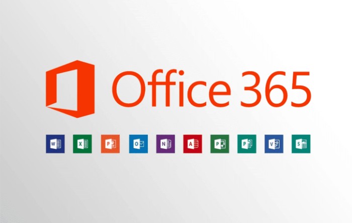 10 Office 365 Admin Tasks Tips Roles and Essential Tasks3