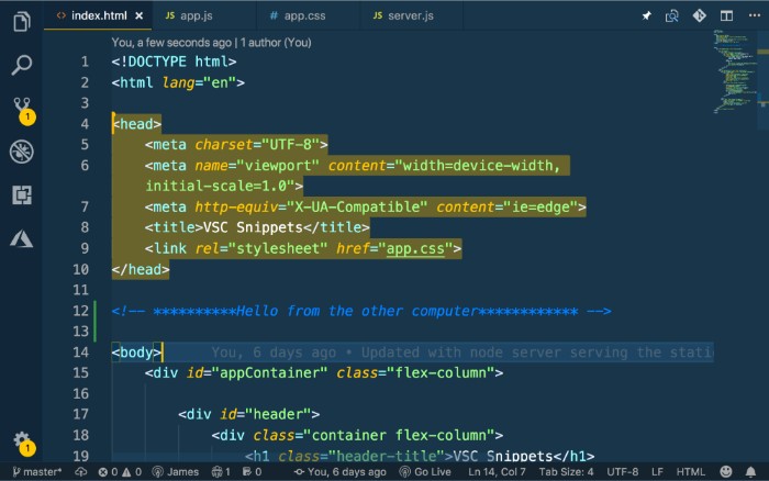 How To use Live Share with Visual Studio Code3