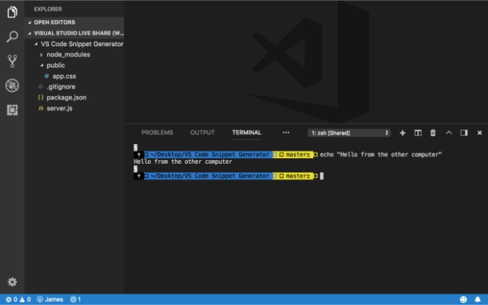 How To use Live Share with Visual Studio Code