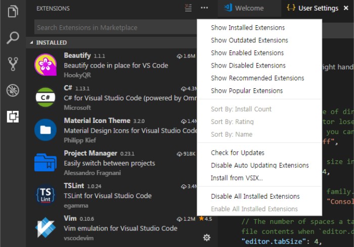 Installing Visual Studio Code Extension For Tizen