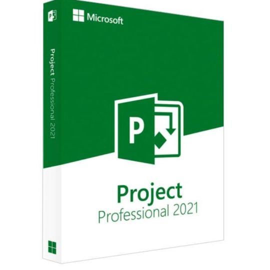 Project Professional 2021