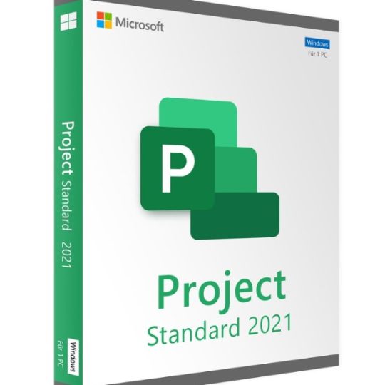 Project Standard 2021