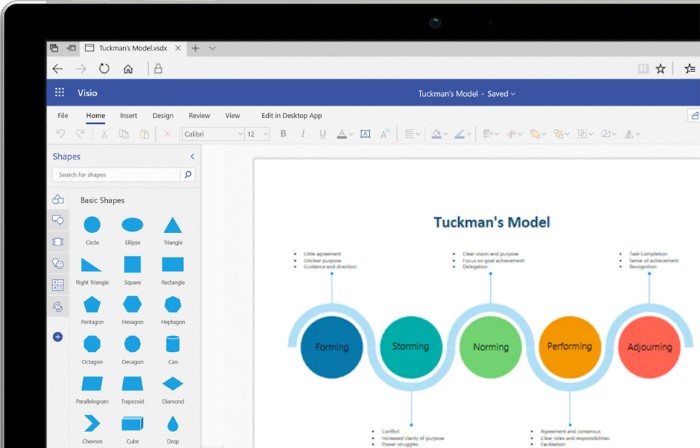 Microsoft Visio Professional 20132