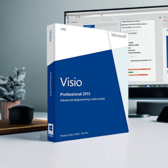 Microsoft Visio Professional 20133