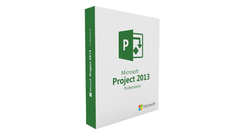 Project Professional 2013