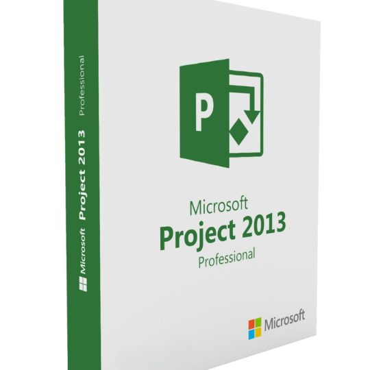 Project Professional 2013