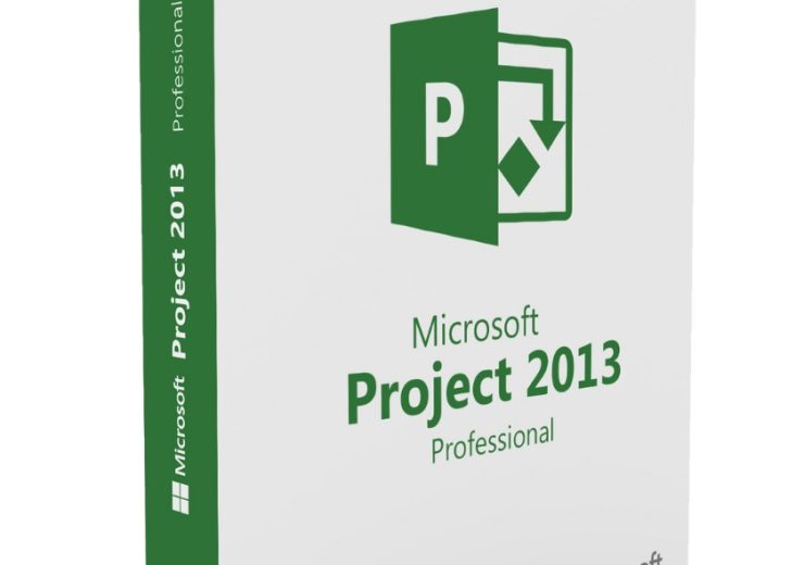Project Professional 2013