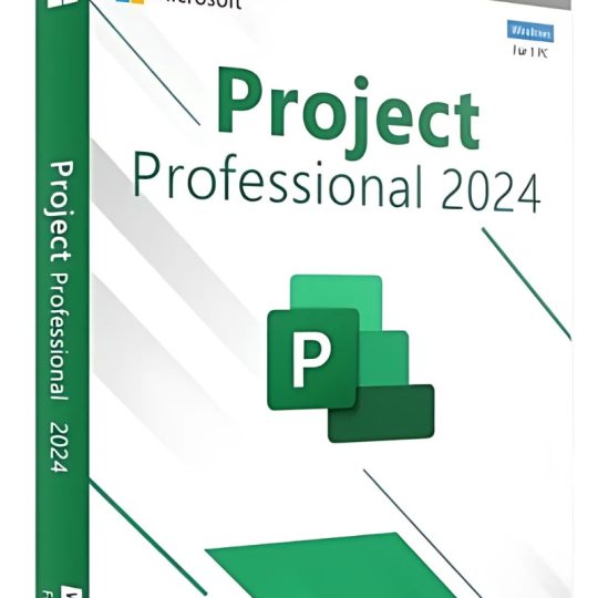 Project Professional 20244