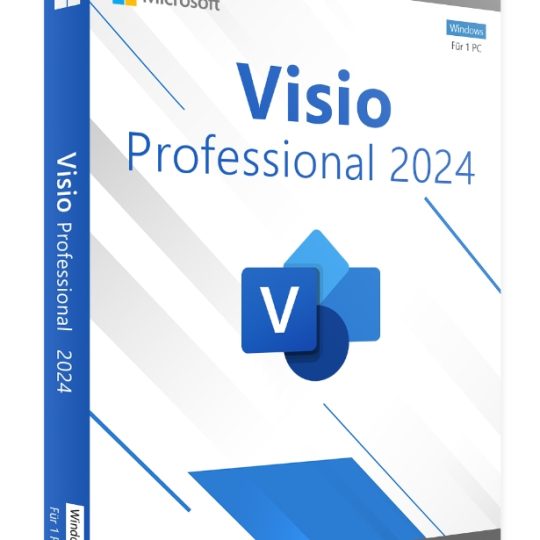 Visio Professional 20244